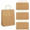 Buy 🤩 10 1/2" x 5 1/4" x 13" Large Brown Kraft Paper Gift Bags - 12 Pc. 🥰 -Crafts for Kids Sales 10 1 2 x 5 1 4 x 13 large brown kraft paper gift bags 12 pc 48 632